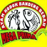 Ayam Kodok Mega Prima ~ Peluang Usaha Franchise Kuliner Murah Dengan Produk Yang Baru