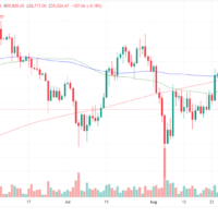 Bitfinex Memprediksi Harga Bitcoin Turun Sebesar 20% Pasca Keputusan Pemangkasan Suku Bunga The Fed